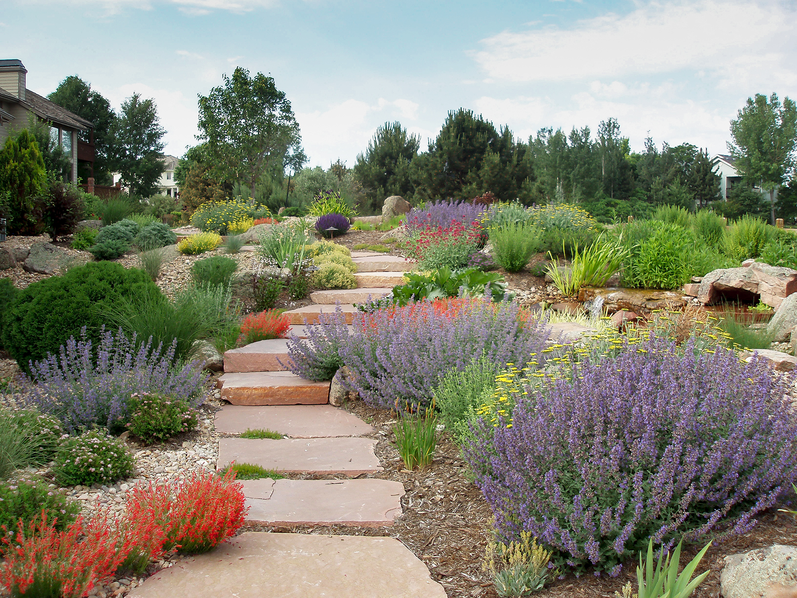 desert garden